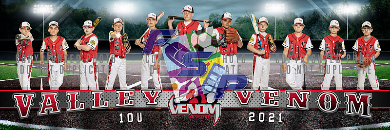 Valley Venom 10U - 2021