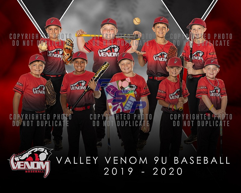 Valley Venom 9U Baseball - 2019